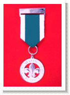 The Distinguished Service Medal