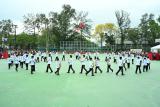 第494張相片